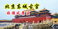 骚妇，爱操中国北京-东城古宫旅游风景区
